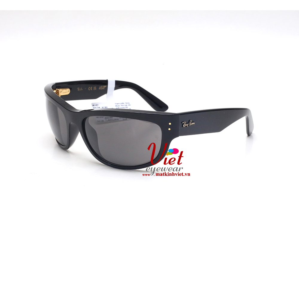 Kính mát RayBan RB2289 6829/J5